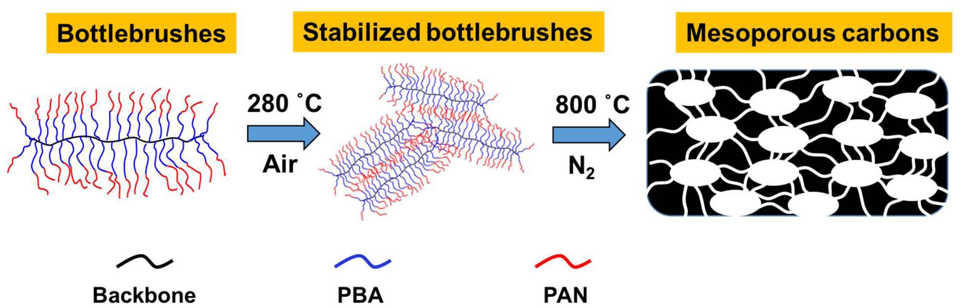 carbons from bottlebrus